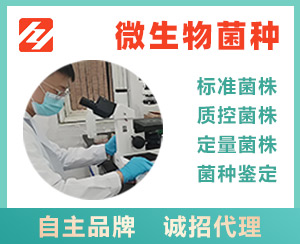 牙龈卟啉单胞菌