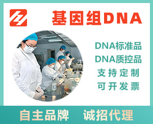 空肠弯曲菌基因组DNA