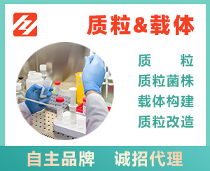 S17-1λpir（含pRE112质粒）大肠杆菌